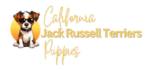 Logo for California Jack Russell Terriers